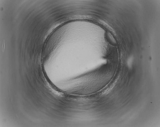 X0000074001033200609111553