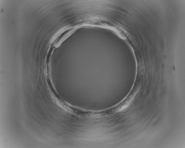 X0000074001034200609111553