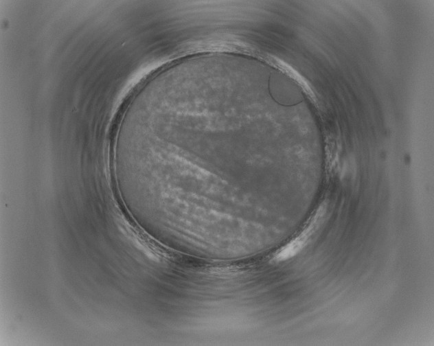 X0000074001035200609111553