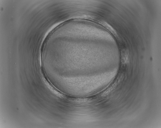 X0000074001036200609111553