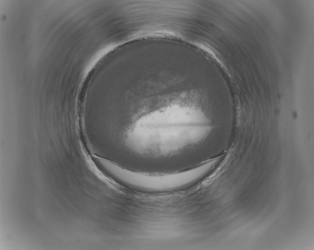 X0000074001038200609111553