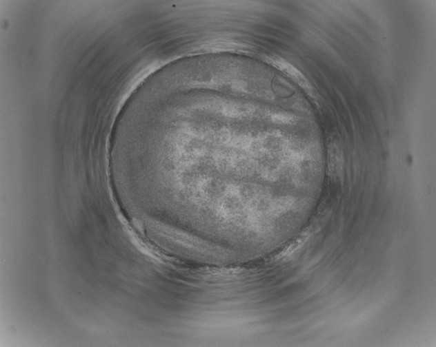 X0000074001039200609111553