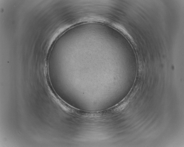 X0000074001040200609111553