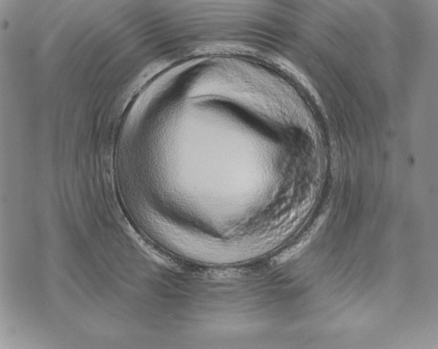 X0000074001041200609111553