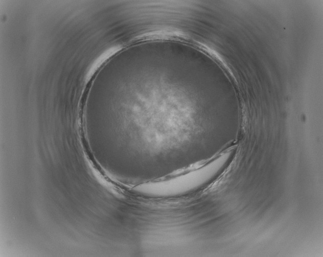 X0000074001042200609111553