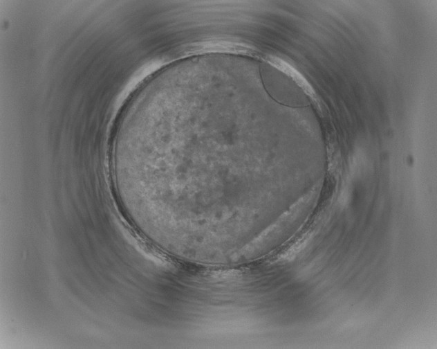 X0000074001043200609111553