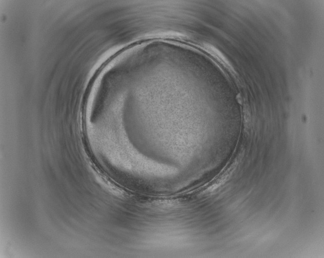 X0000074001044200609111553