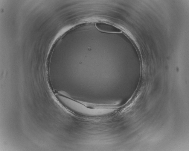 X0000074001045200609111553