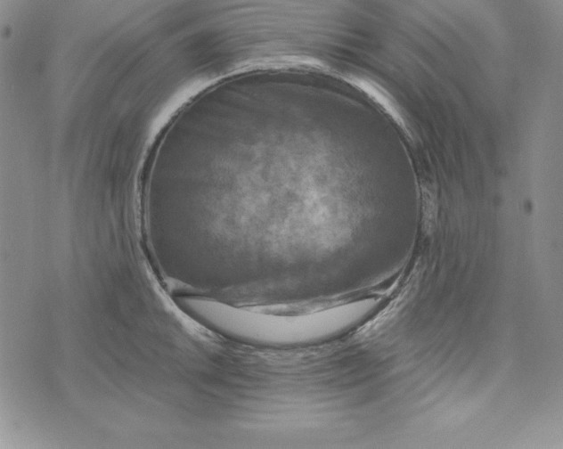 X0000074001046200609111553