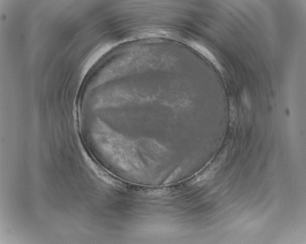 X0000074001047200609111553