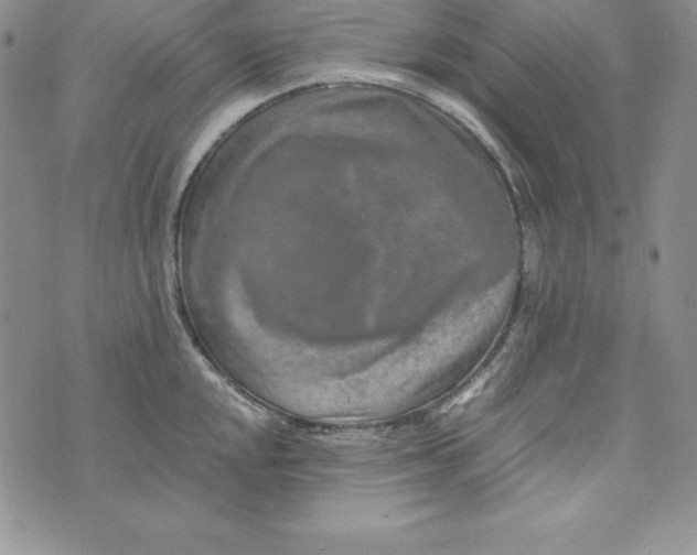 X0000074001048200609111553