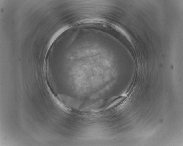 X0000074001050200609111553