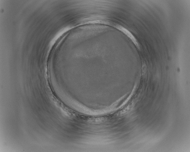 X0000074001051200609111553