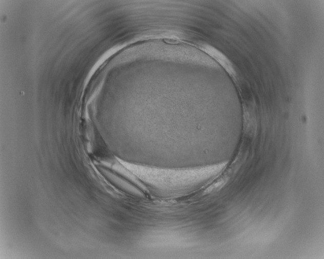 X0000074001052200609111553