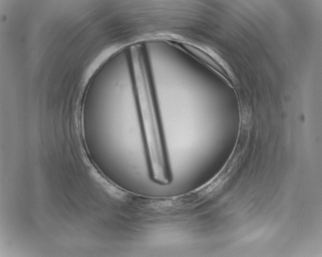 X0000074001054200609111553