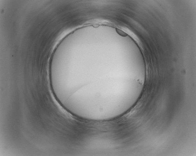 X0000074001055200609111553