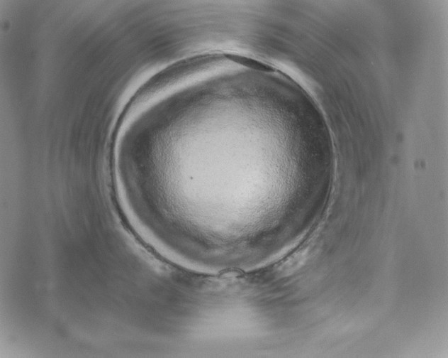 X0000074001056200609111553