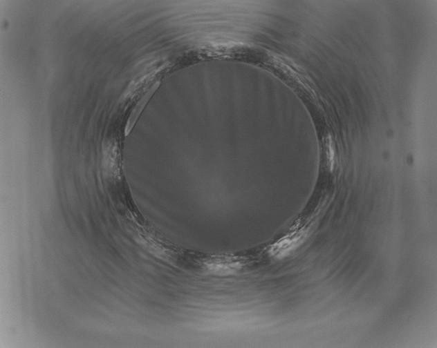 X0000074001060200609111553