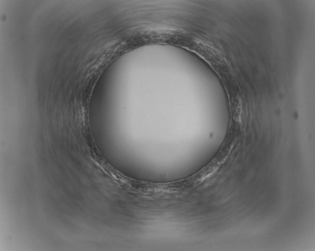 X0000074001061200609111553