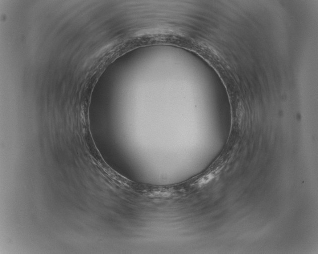 X0000074001062200609111553