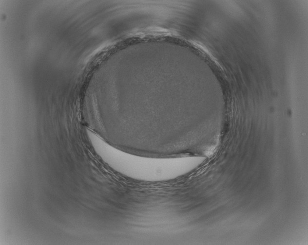 X0000074001063200609111553