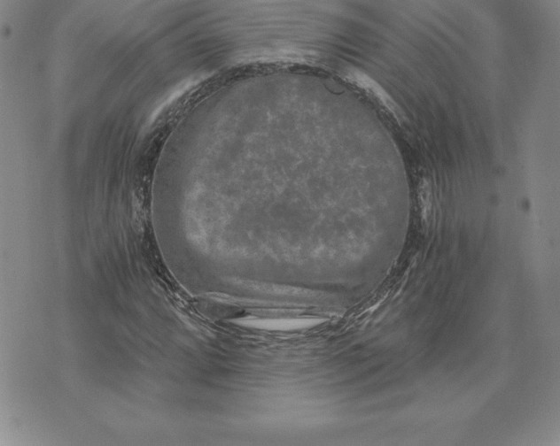 X0000074001064200609111553