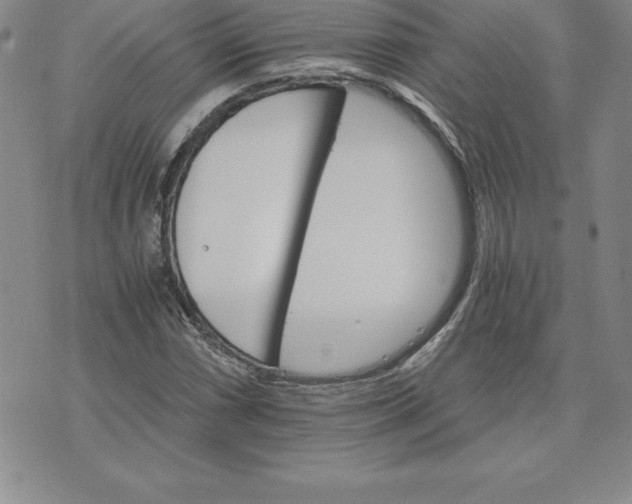 X0000074001066200609111553