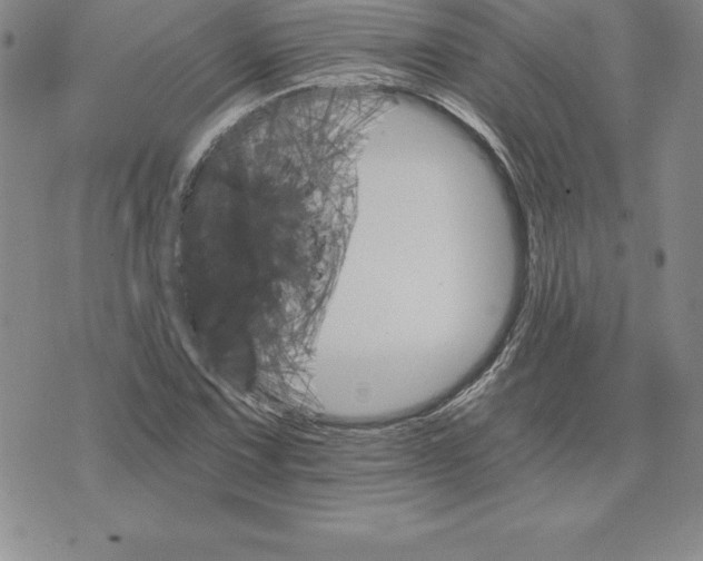 X0000074001067200609111552