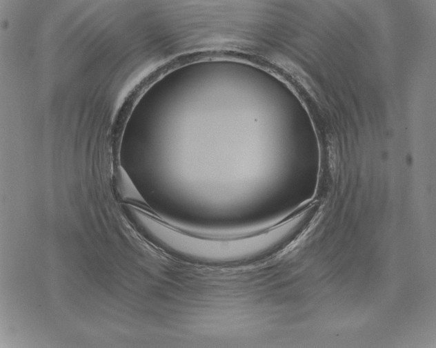 X0000074001069200609111552