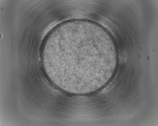 X0000074001070200609111552