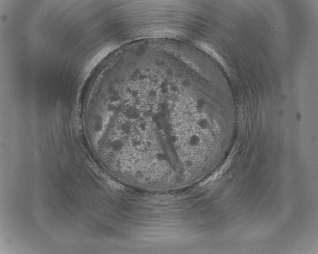 X0000074001071200609111552