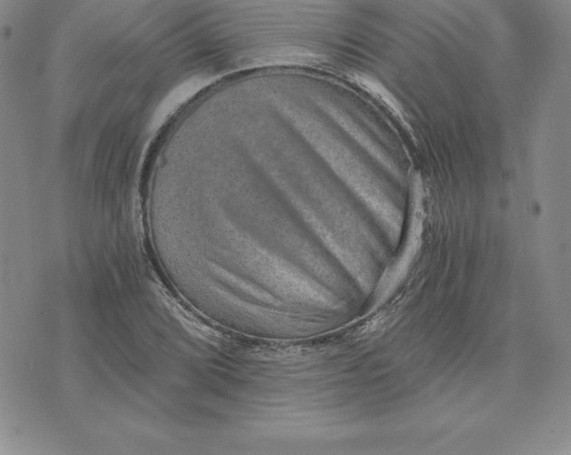 X0000074001072200609111552