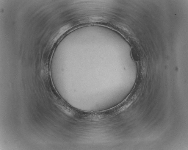 X0000074001073200609111552