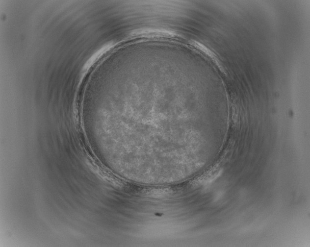 X0000074001074200609111552