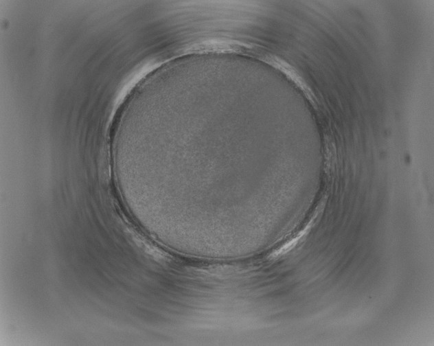 X0000074001075200609111552