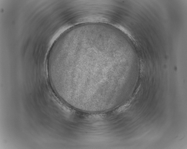 X0000074001078200609111552