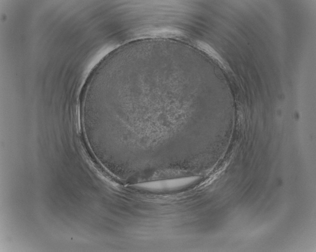 X0000074001079200609111552