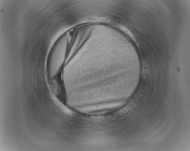 X0000074001080200609111552