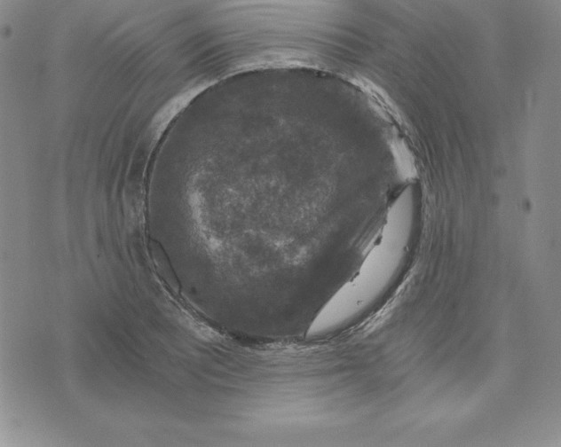 X0000074001081200609111552