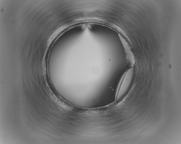 X0000074001082200609111552