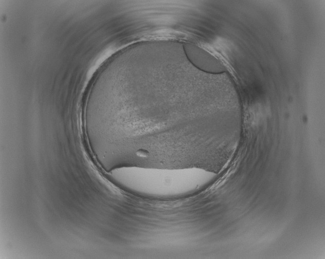 X0000074001083200609111552