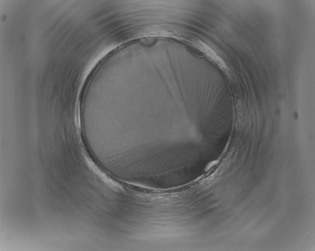 X0000074001084200609111552