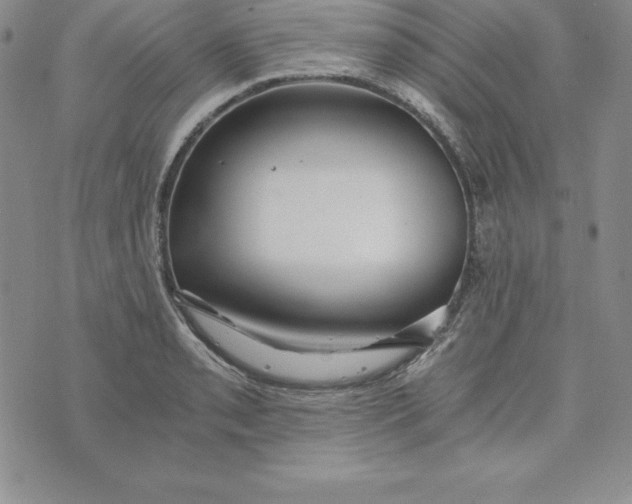 X0000074001085200609111552