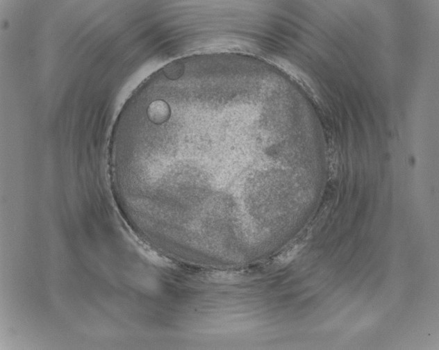 X0000074001086200609111552