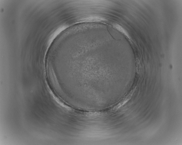 X0000074001087200609111552