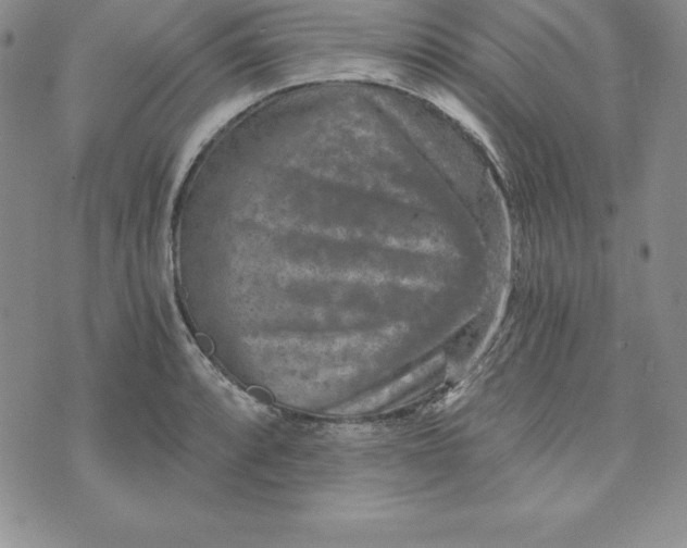 X0000074001088200609111552