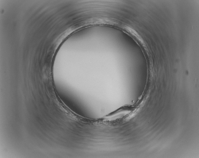 X0000074001089200609111552