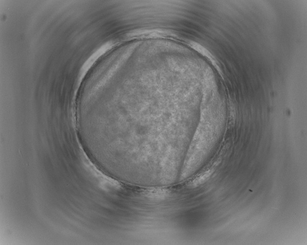 X0000074001090200609111552