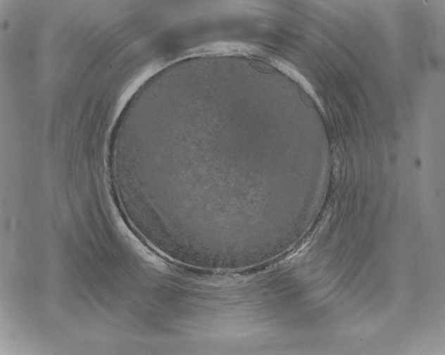 X0000074001091200609111552