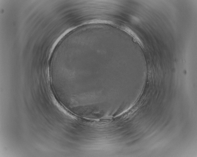 X0000074001092200609111552